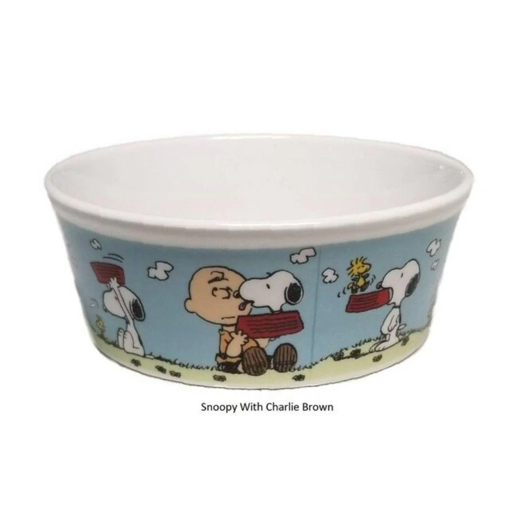 Bowl de Comida para Mascota Snoopy y Charlie Brown 13cm